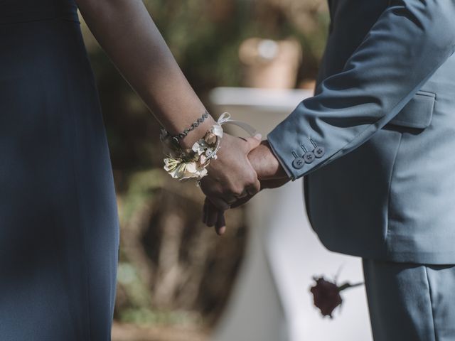 Le mariage de David et Delphine à Ortaffa, Pyrénées-Orientales 35