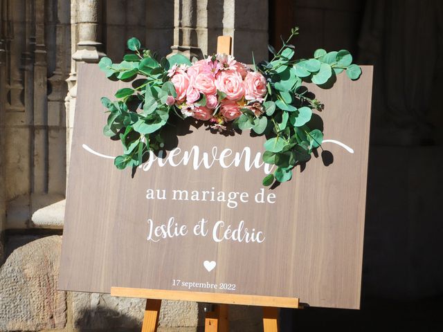 Le mariage de Leslie et Cédric à Neufchâtel-en-Bray, Seine-Maritime 28