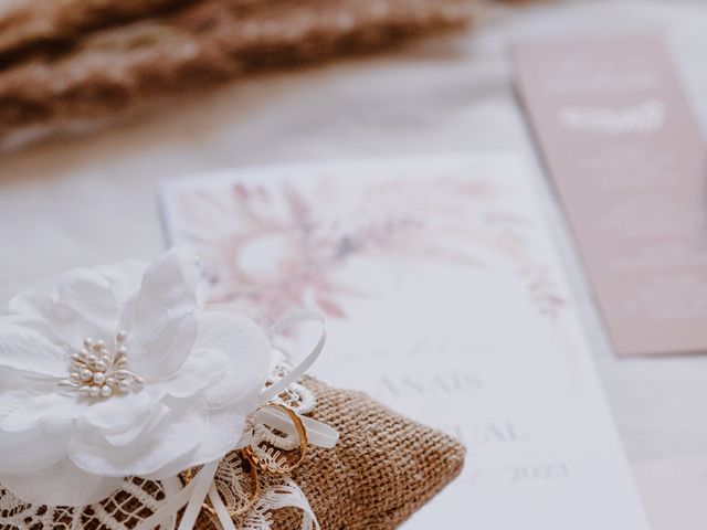 Le mariage de Pascual et Anais à Pierrelatte, Drôme 4