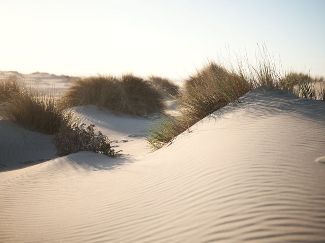 Le mariage de Louison et Carol à Le Grau-du-Roi, Gard 2