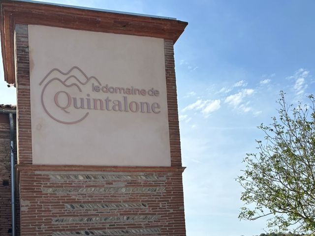 Le mariage de Arnaud Daurat et Etna et Dorian à Toulouse, Haute-Garonne 15