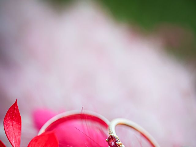 Le mariage de Léo et Tiphaine à Louerre, Maine et Loire 4