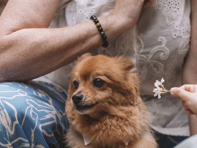 Le mariage de Julien et Angélique à Tordères, Pyrénées-Orientales 7