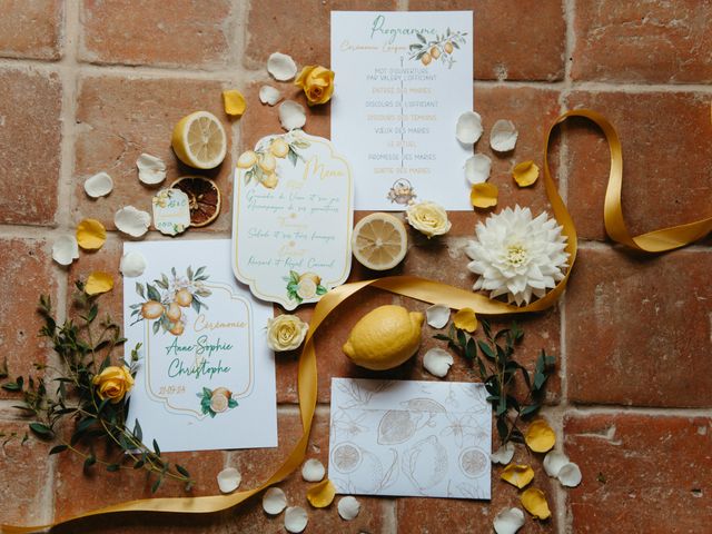 Le mariage de Christophe et Anne Sophie à Loches, Indre-et-Loire 46