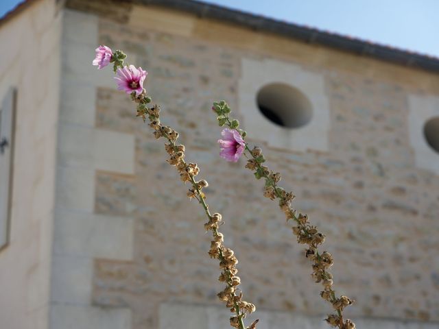 Le mariage de Bertrand et Sandrine à Saint-Androny, Gironde 15