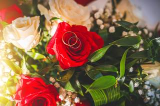 Emma Lefevre Photographe - 6
