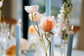 Freya Joy Garden Flowers - 6