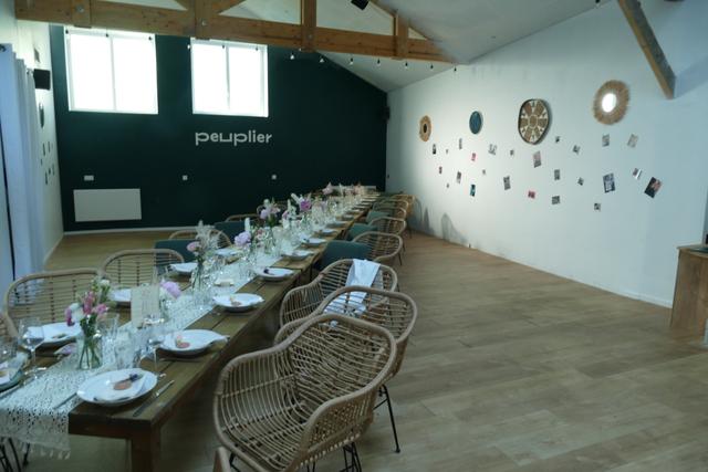 Peuplier - 1