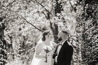 David Greffe Photographe - 5