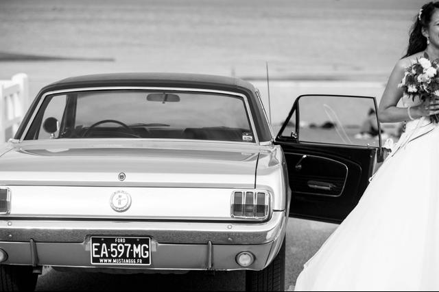 Mustang66 - 3