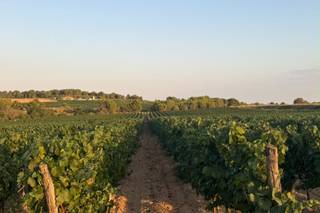 Domaine de la Grangette - 7