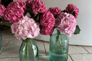 Mon Petit Mur de Fleurs - 7