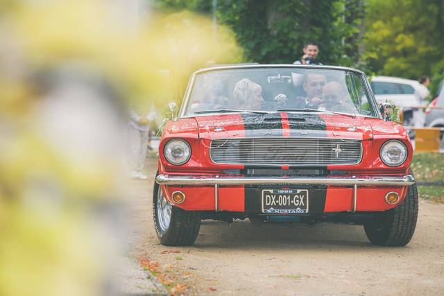 Mustang Location 2