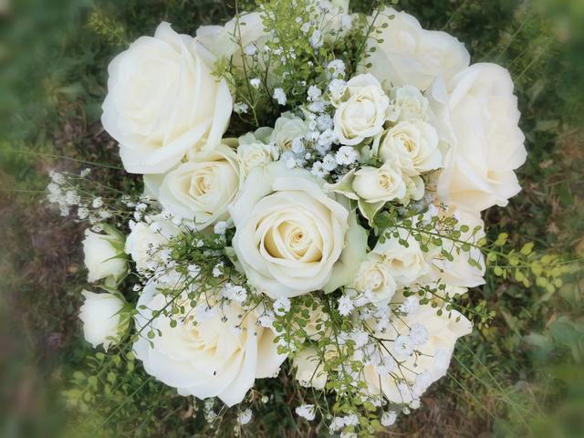 Ô Sens des Fleurs - 1