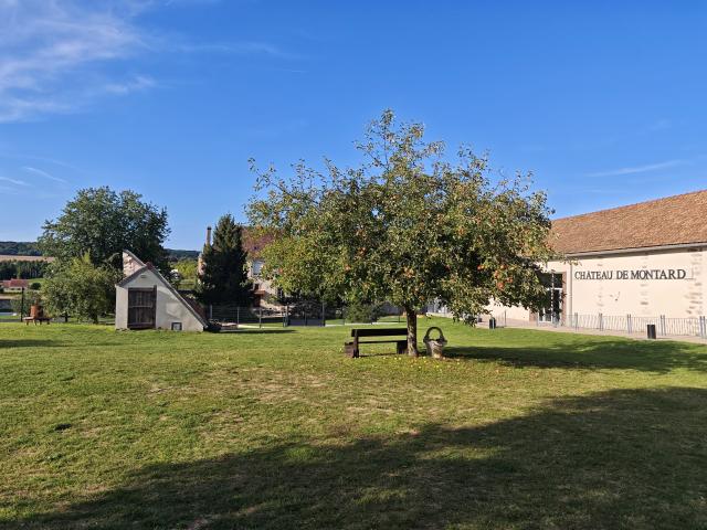 Château de Montard - 3