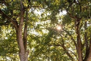 Pauline Lecomte Photographies - 8
