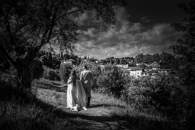 Lievre DeMars Art'narchy Photographie - 1