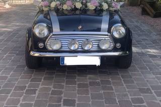 Mld Fleurs - 6