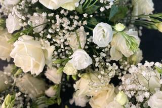 Eclosion Florale - 15