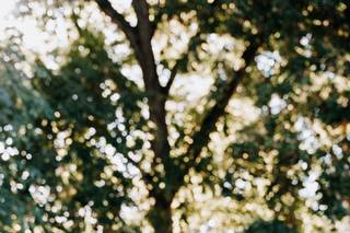 Fanny Reynaud Photographe - 5