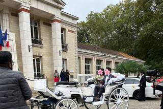 Les Attelages de Paris - 2