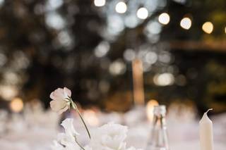 Lune Weddings - 5