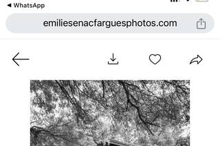 Emilie Sénac Fargues - 9