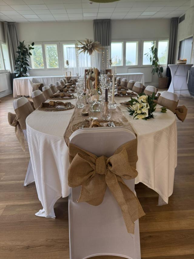 Delphine Events - 2