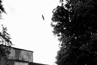 Anthony Hermant Photographe - 8