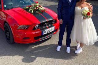 RedStang - 6