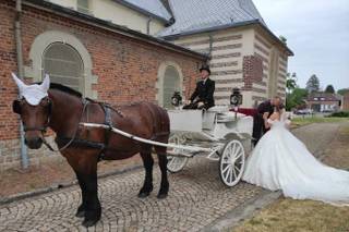 Les Attelages du Valenciennois - 9