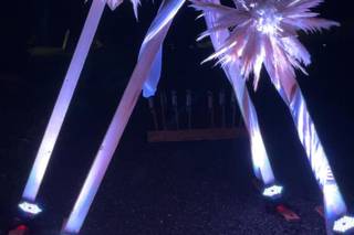 Madame Flower - 6