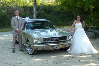 Mustang66 - 13