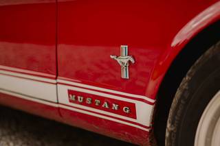 Mustang à louer - 7