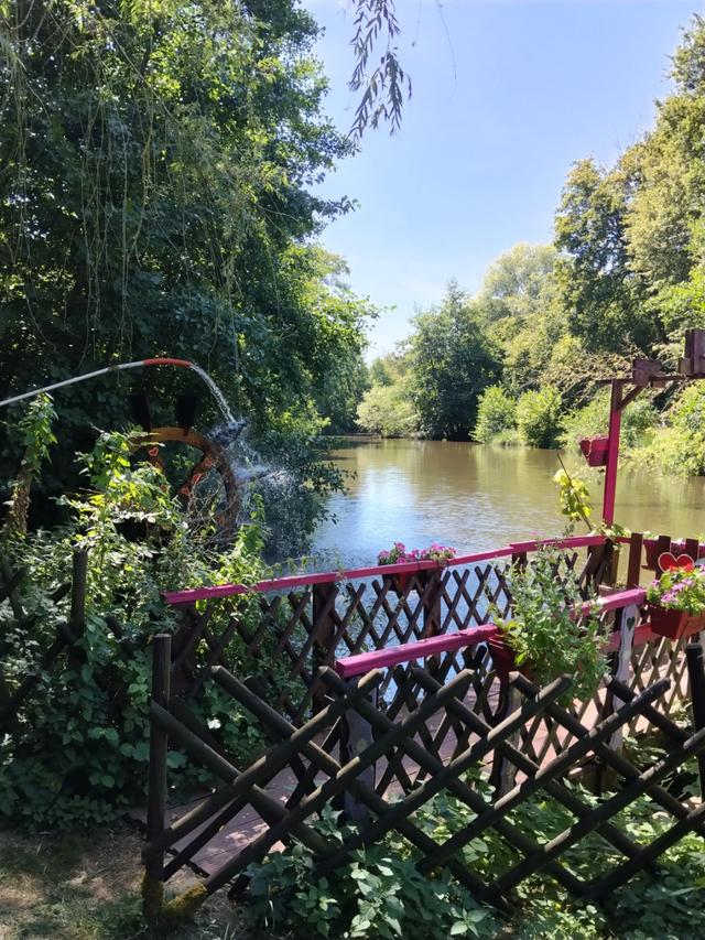 Le Chalet des Aulnes - 2