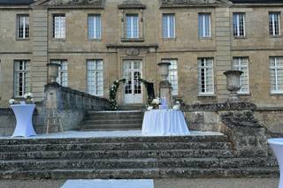 Château de Vic sur Aisne - 9