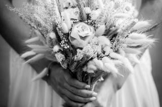 VirGil PhotoGraph - 3