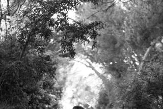 Manon Piovesan - Photographie - 8