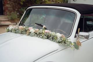 Aurélien Méchineau - 6