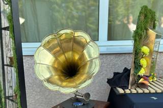 Purple & The White - 7