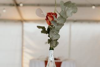 Steffany Photographie - 8