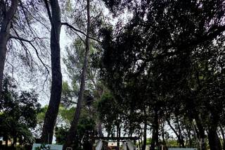 Le Domaine du Castellet - 5