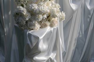Agence Elumina - 8