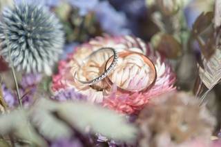 David James - 11
