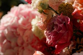 Mademoiselle Coquelicot - 11