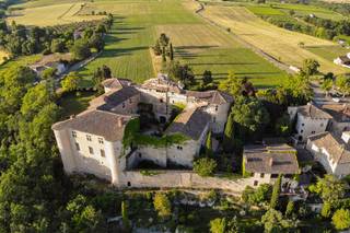 Château de Mauriac - 11