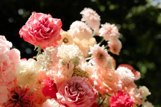 Mademoiselle Coquelicot - 12