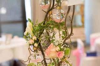 Catherine Photographie - 5