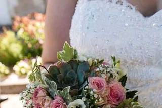 Catherine Photographie - 7