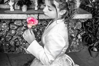 Les Filtres Passion d’Anne - 15